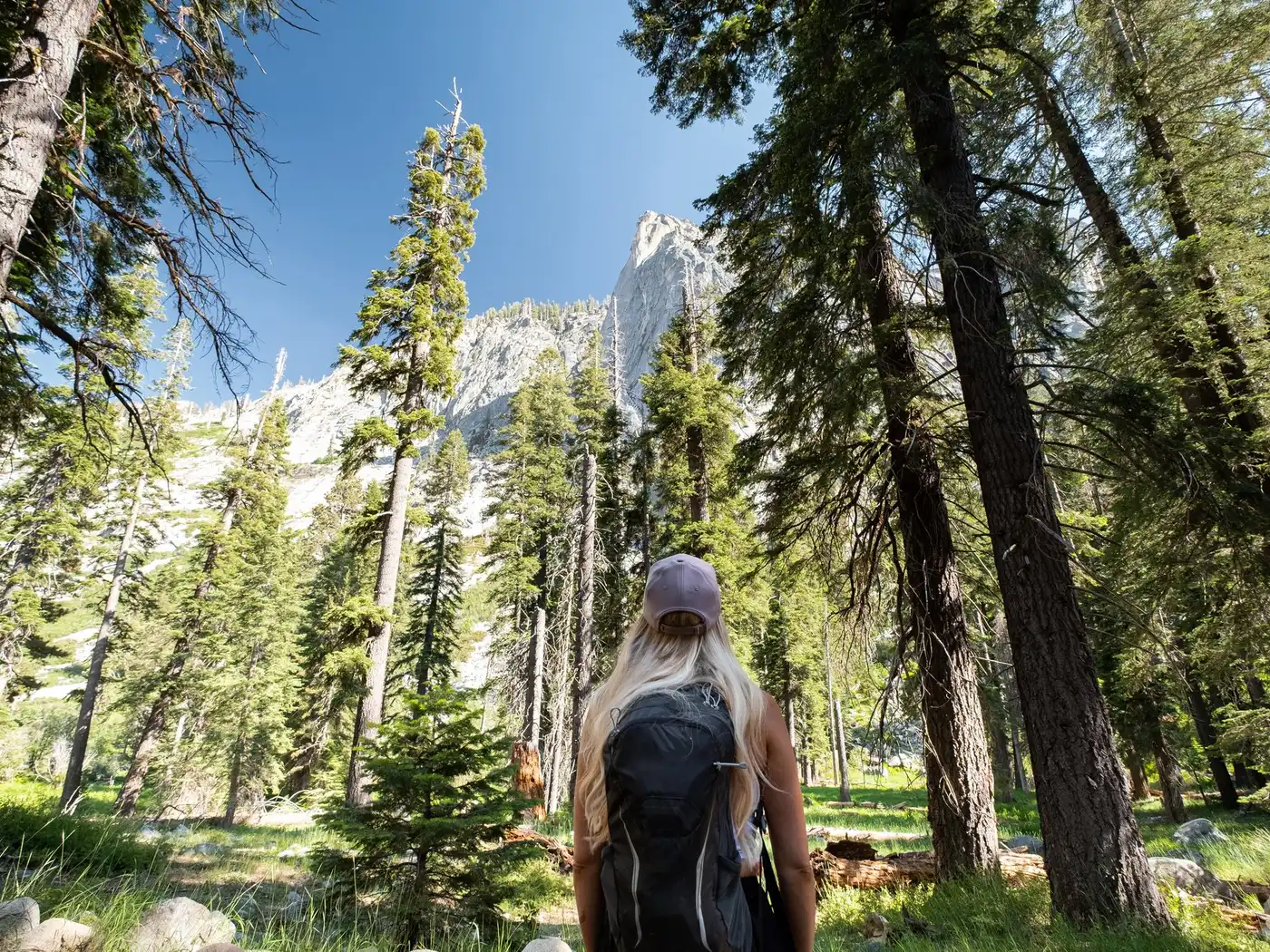 A hiker with a black daypack stands in a pine forest looking up at a granite spire