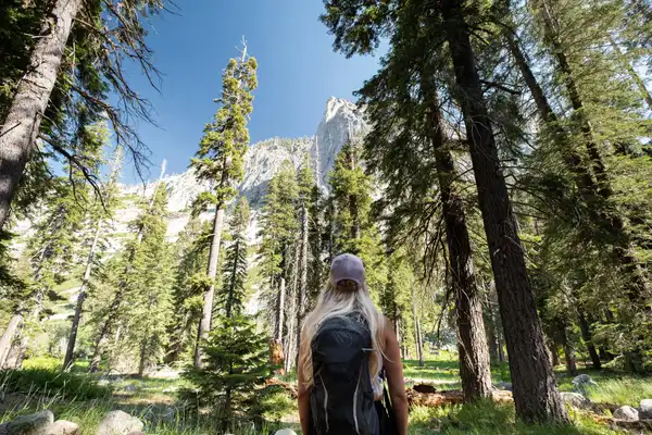 A hiker with a black daypack stands in a pine forest looking up at a granite spire